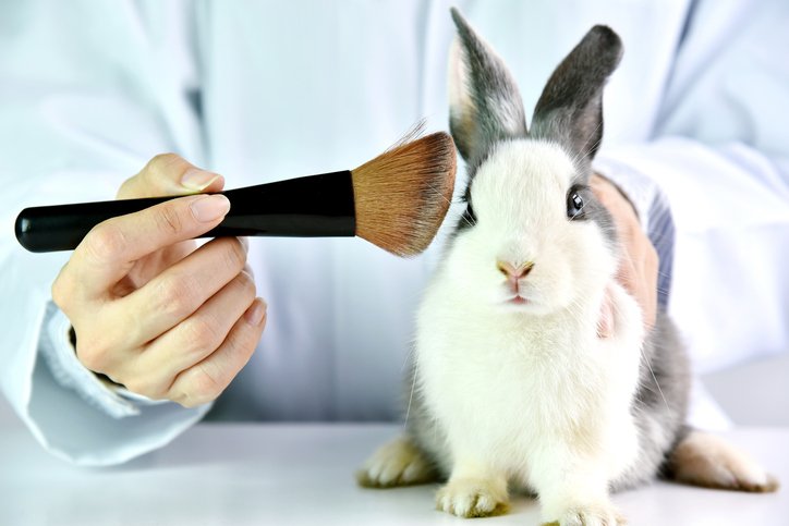Person holding a makeup brush next to a rabbit on a white background